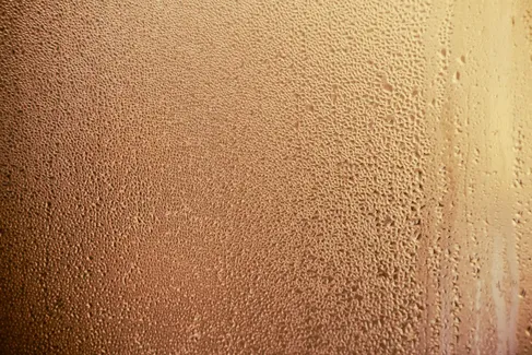 Close-up of condensation on a glass surface, showing many small water droplets.