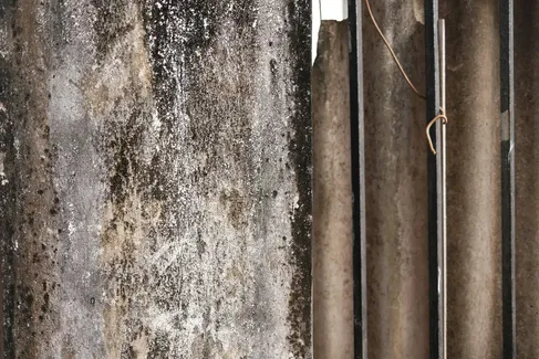 A close-up of a weathered concrete wall with dark mold and a corrugated metal sheet next to it.